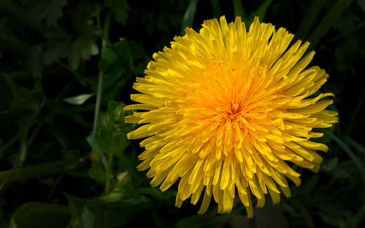 1667959 (a): :2560x1600